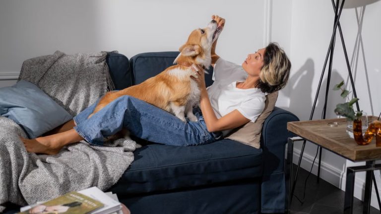 An adult woman relaxing on a sofa with her corgi dog at home, enjoying a quiet moment together.